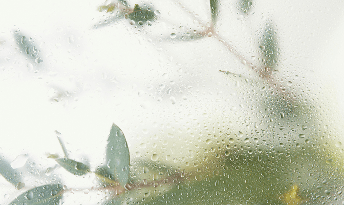 leafs behind glass with waterdropplets on it